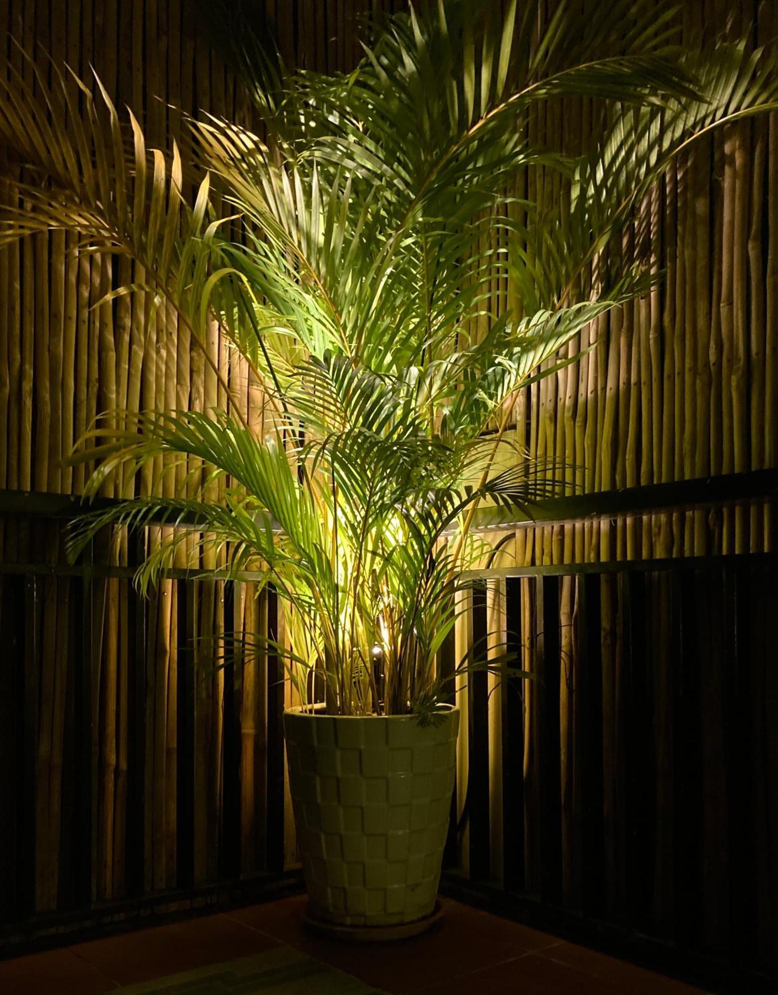 Lotus Haven Villa Siem Reap Luaran gambar