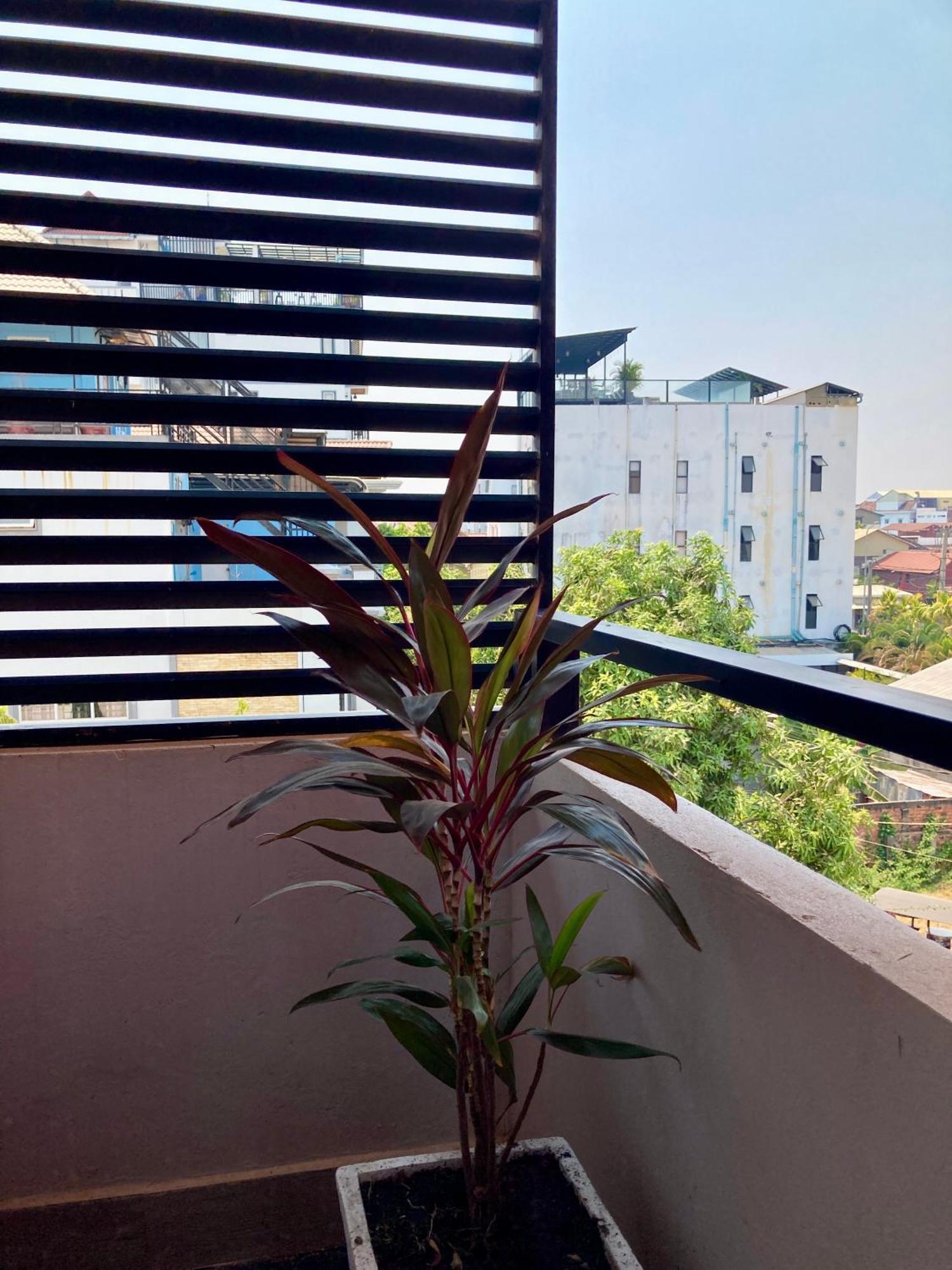 Lotus Haven Villa Siem Reap Luaran gambar